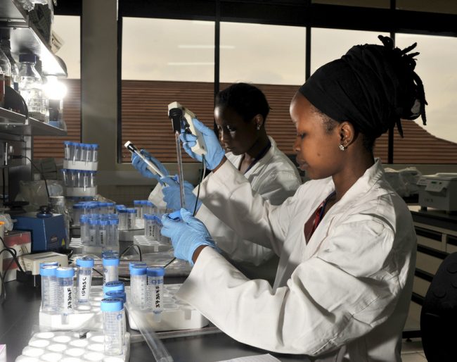 Women working in the advanced animal health laboratories of ILRI, in Nairobi