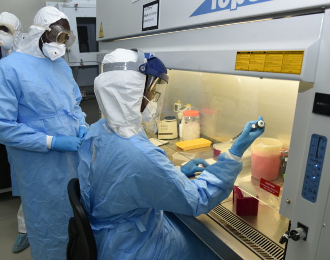 Scientists preparing samples in biosafety level III facilities at ILRI laboratory (photo credit ILRI/Paul Karaimu)