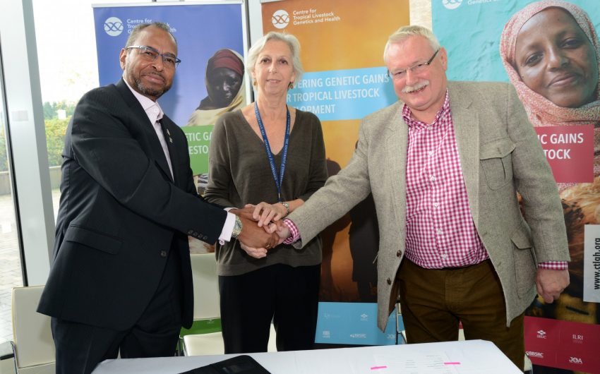 CTLGH Principals Group: Jimmy Smith (ILRI), Eleanor Riley (Roslin) and Wayne Powell (SRUC)