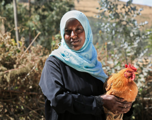 Ethiopian Woman with Chicken