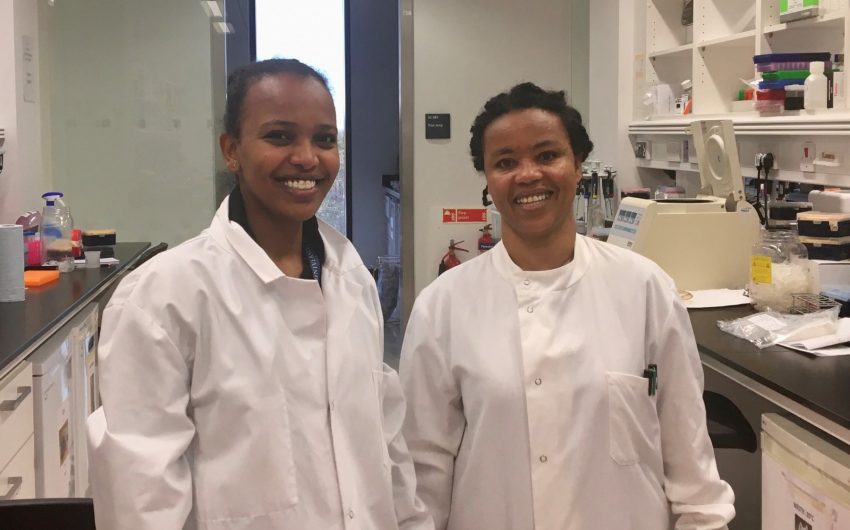 Wude Tsege and Ruth Bekele in the lab